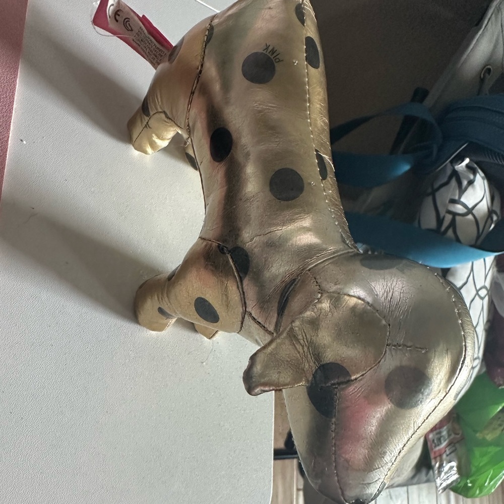 Pink dog - Picture 5 of 5